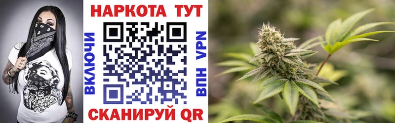 Как найти закладки Елизаветинская Бутират  Псилоцибиновые грибы  КОКАИН  Гашиш  Канабис  Меф  А ПВП 