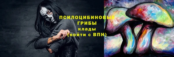 шишки Верхнеуральск