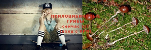 шишки Верхнеуральск